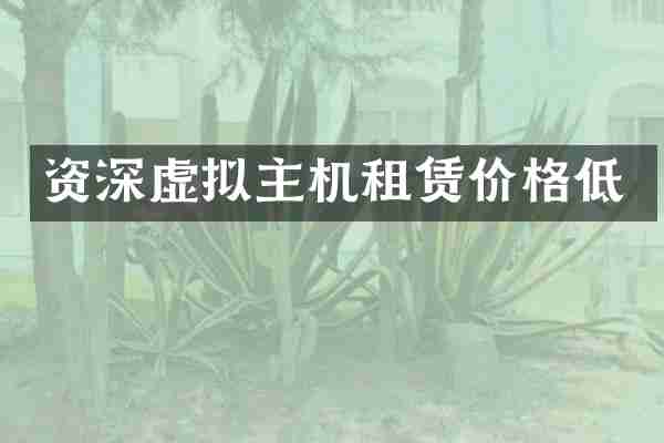 资深虚拟主机租赁价格低
