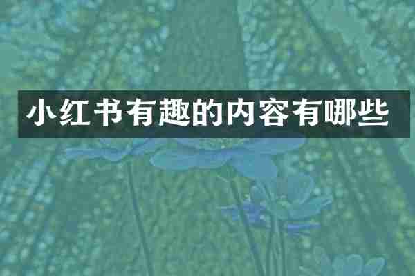 小红书有趣的内容有哪些