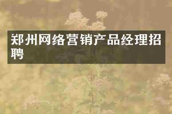 郑州网络营销产品经理招聘