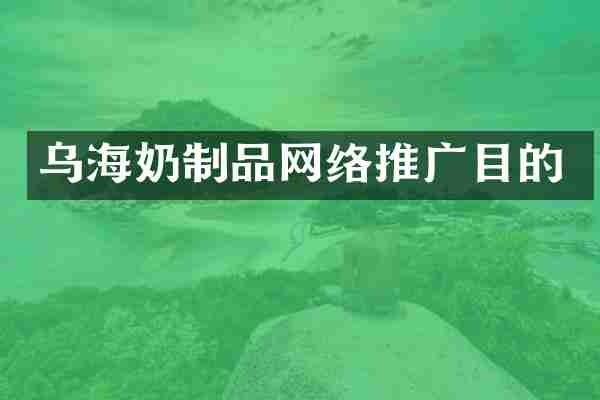乌海奶制品网络推广目的