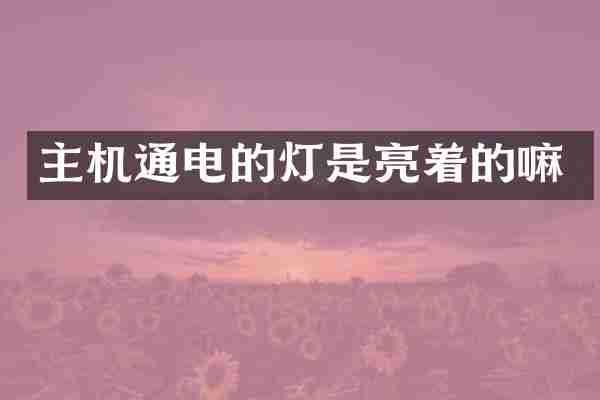 主机通电的灯是亮着的嘛