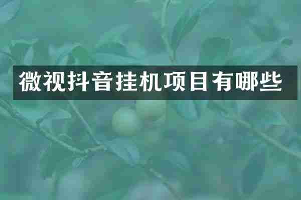 微视抖音挂机项目有哪些
