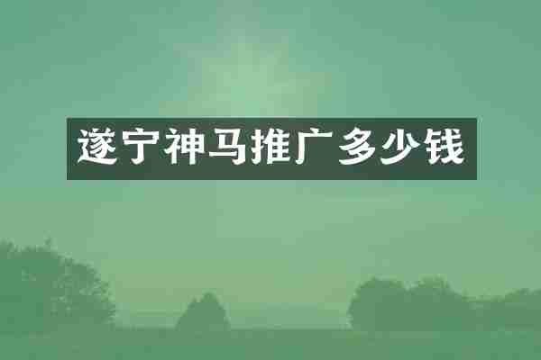 遂宁神马推广多少钱