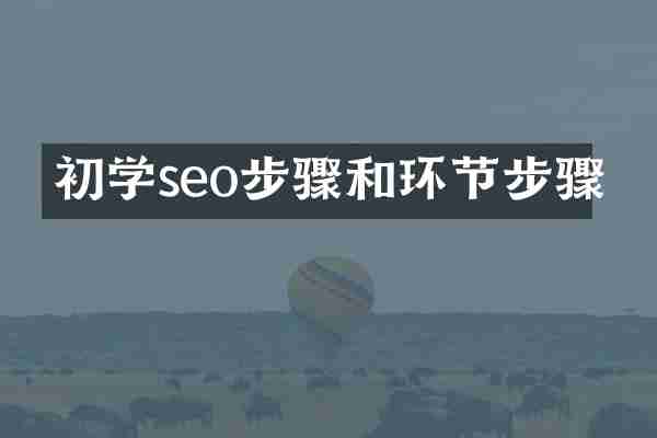 初学seo步骤和环节步骤