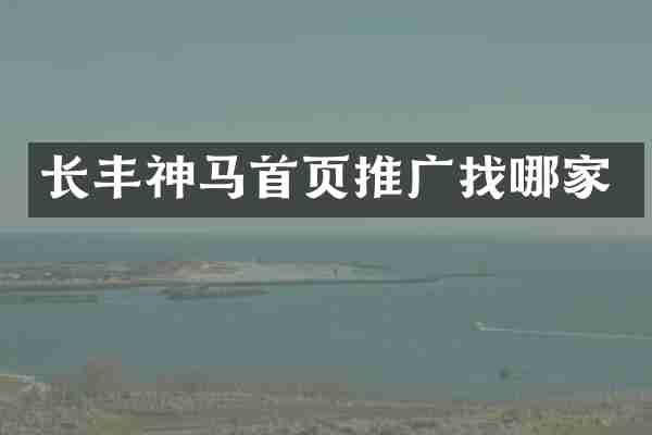 长丰神马首页推广找哪家