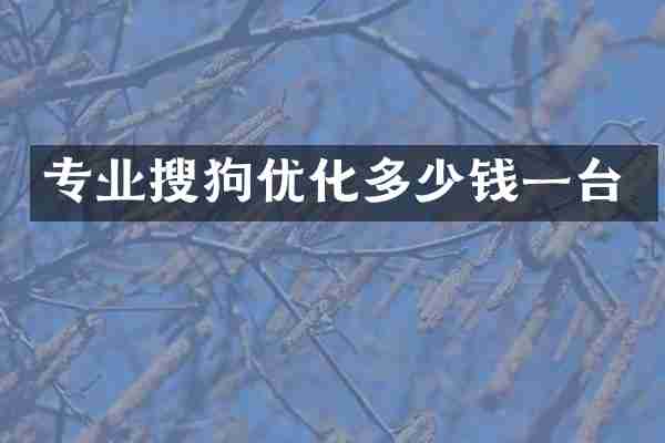 专业搜狗优化多少钱一台