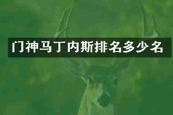 门神马丁内斯排名多少名