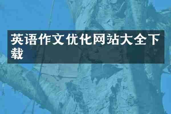英语作文优化网站大全下载