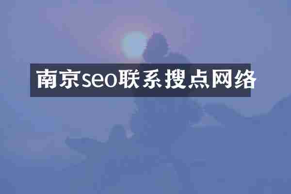 南京seo联系搜点网络