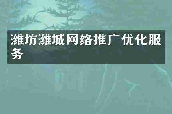 潍坊潍城网络推广优化服务