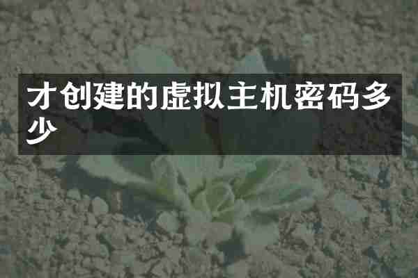 才创建的虚拟主机密码多少