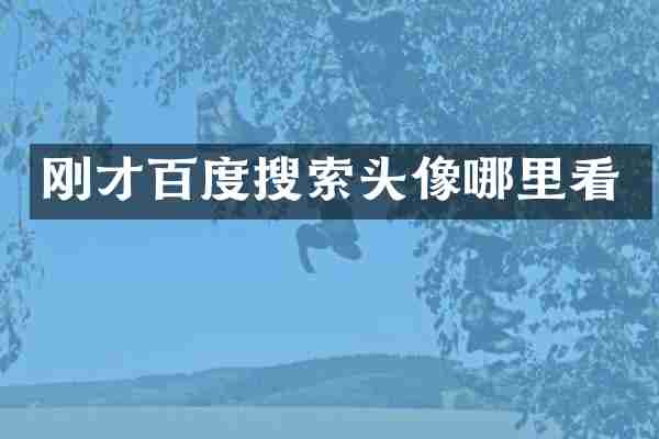 刚才百度搜索头像哪里看