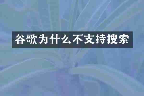 谷歌为什么不支持搜索