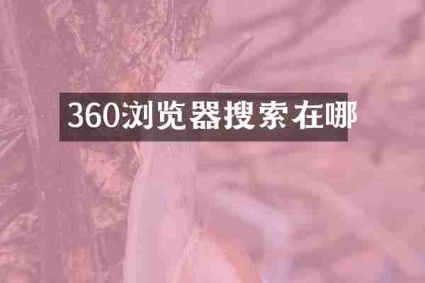 360浏览器搜索在哪