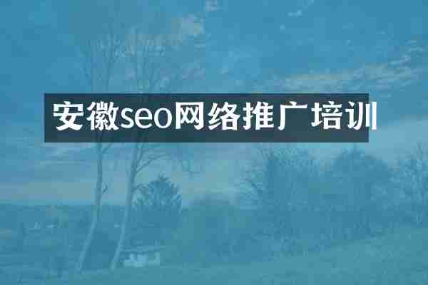 安徽seo网络推广培训