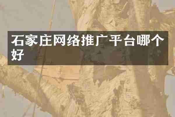 石家庄网络推广平台哪个好
