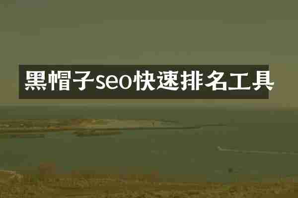黑帽子seo快速排名工具