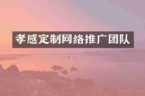 孝感定制网络推广团队