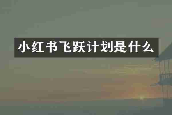 小红书飞跃计划是什么