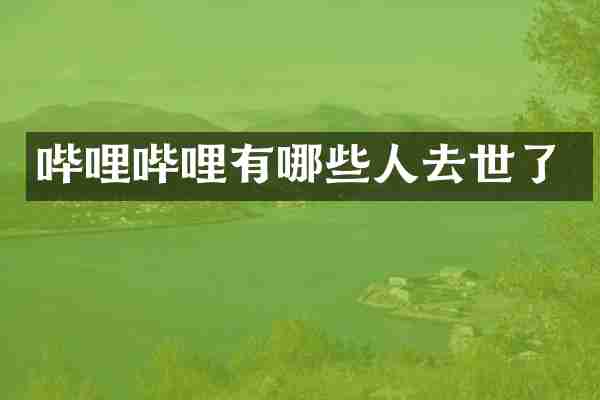 哔哩哔哩有哪些人去世了