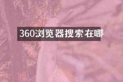 360浏览器搜索在哪