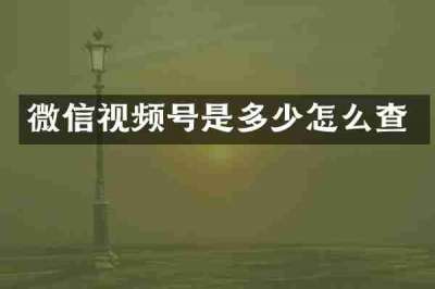 微信视频号是多少怎么查