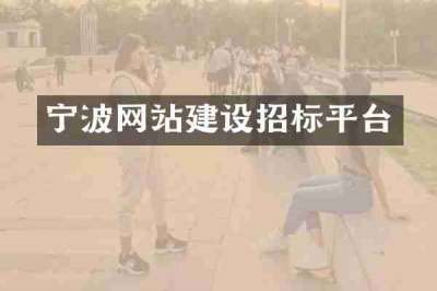 宁波网站建设招标平台