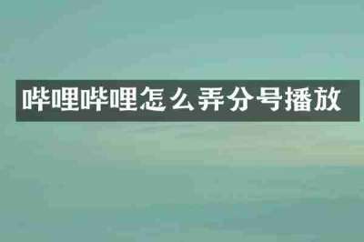 哔哩哔哩怎么弄分号播放