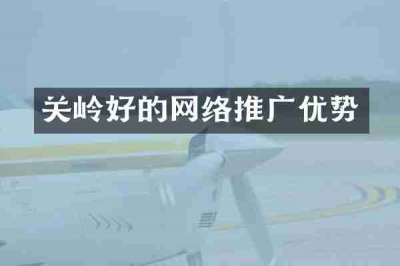 关岭好的网络推广优势