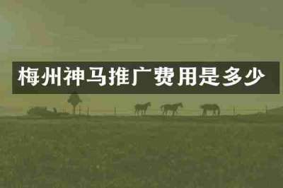 梅州神马推广费用是多少