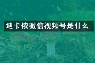迪卡侬微信视频号是什么