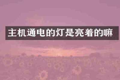 主机通电的灯是亮着的嘛
