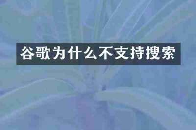 谷歌为什么不支持搜索