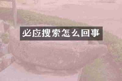 必应搜索怎么回事