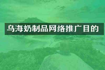 乌海奶制品网络推广目的