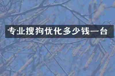 专业搜狗优化多少钱一台