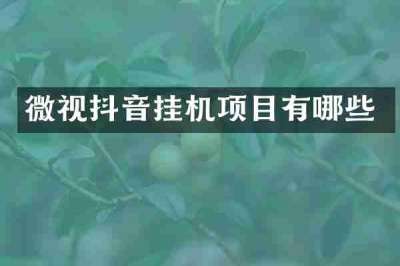 微视抖音挂机项目有哪些