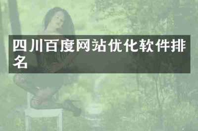 四川百度网站优化软件排名