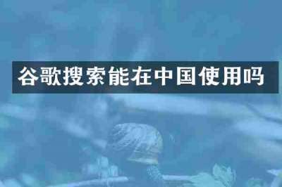 谷歌搜索能在中国使用吗