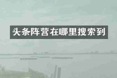 头条阵营在哪里搜索到