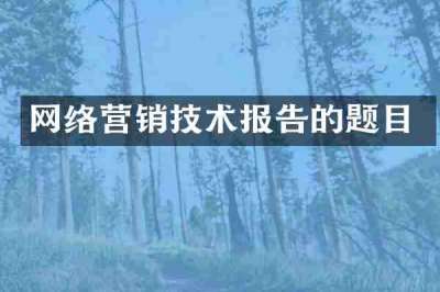 网络营销技术报告的题目