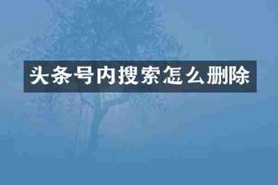 头条号内搜索怎么删除