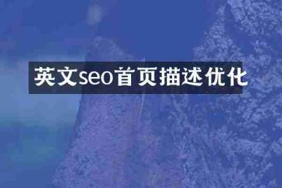 英文seo首页描述优化