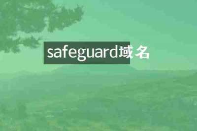 safeguard域名