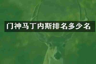 门神马丁内斯排名多少名