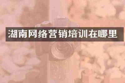 湖南网络营销培训在哪里