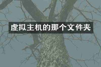 虚拟主机的那个文件夹