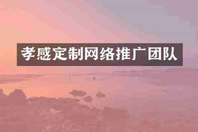 孝感定制网络推广团队