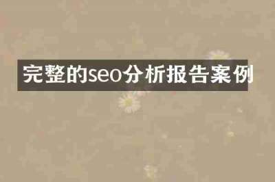 完整的seo分析报告案例