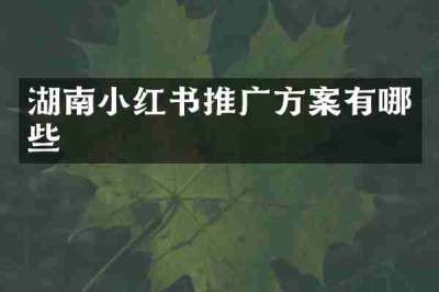 湖南小红书推广方案有哪些